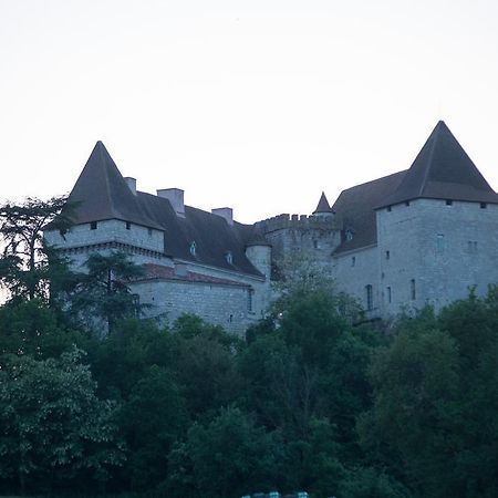 Chateau De Goudourville别墅 外观 照片
