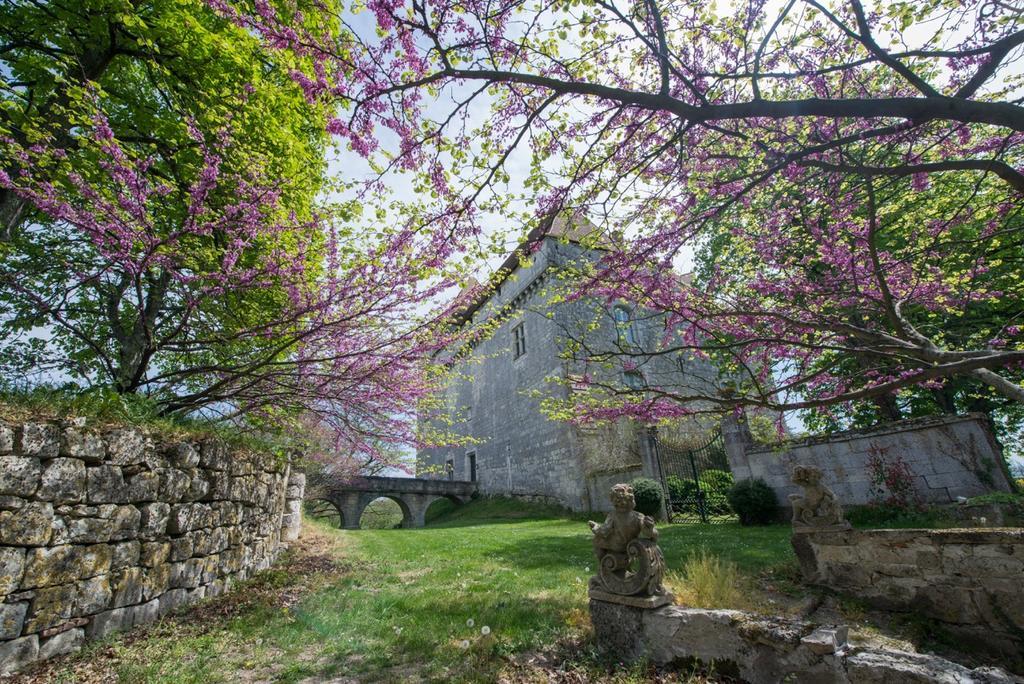 Chateau De Goudourville别墅 外观 照片