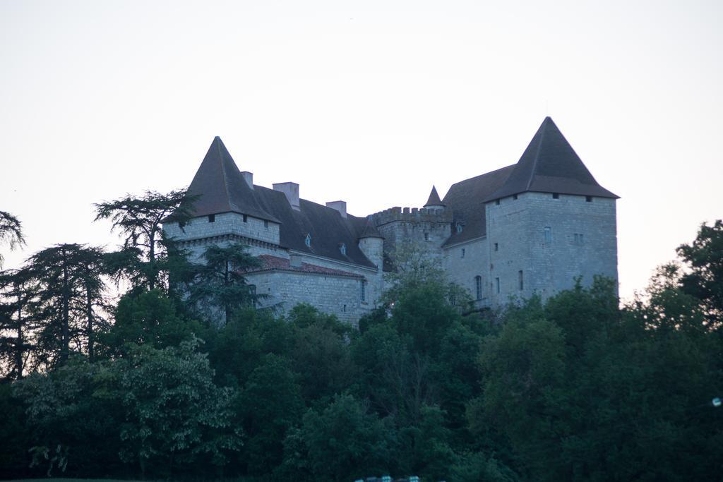 Chateau De Goudourville别墅 外观 照片