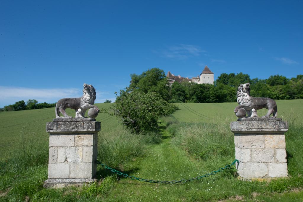 Chateau De Goudourville别墅 外观 照片